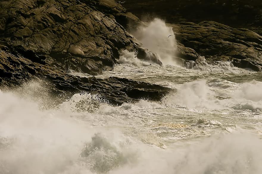 ombak, pantai, batu, laut, pantai berbatu, jurang, badai, garis pantai, air, gelombang, mengalir