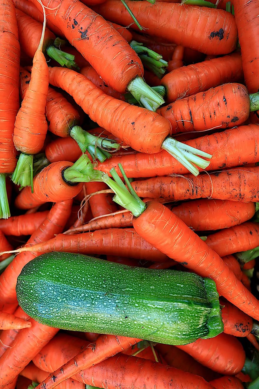 verdures, pastanagues, carbassó, menjar, costos, vitamines, agricultura, salut, poder, collita, bio