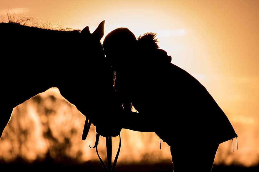 cavallo, umano, tramonto, silhouette, crepuscolo, amicizia, animale, mammifero