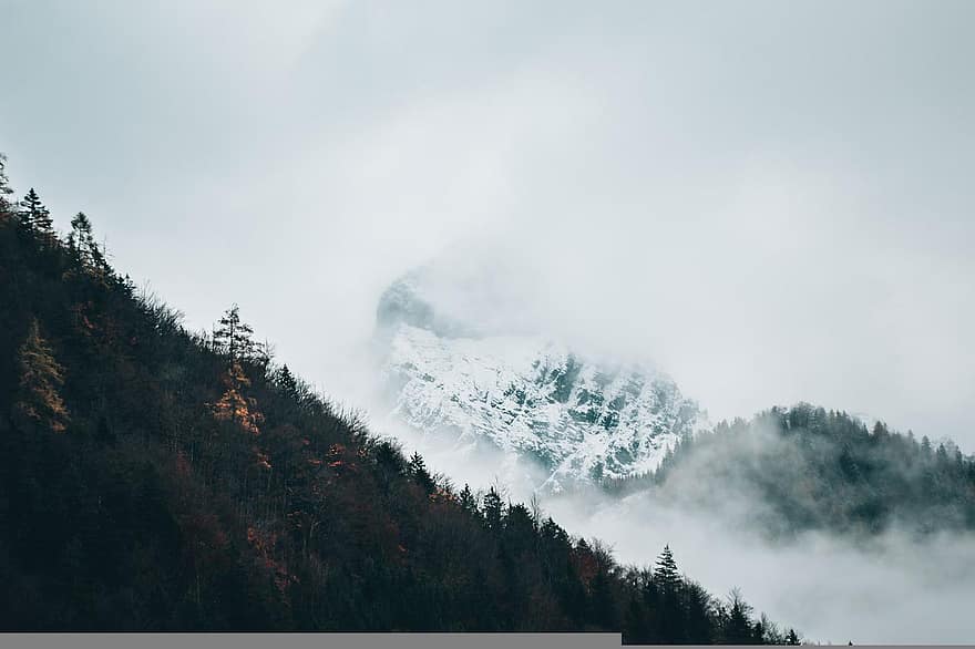 Góra, szczyt, las, zimowy, chmury, mgła, drzewa, Alpy, Natura, krajobraz, śnieg
