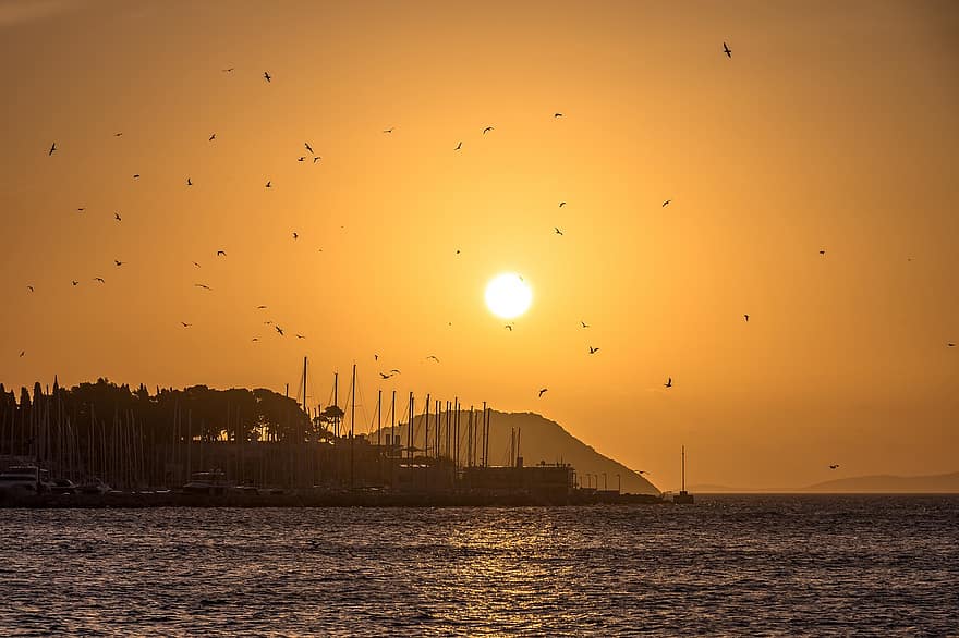 posta de sol, Costa, aus voladores, aus migratòries, siluetes, embarcacions, marina, pati de vaixells, port, cel, sol