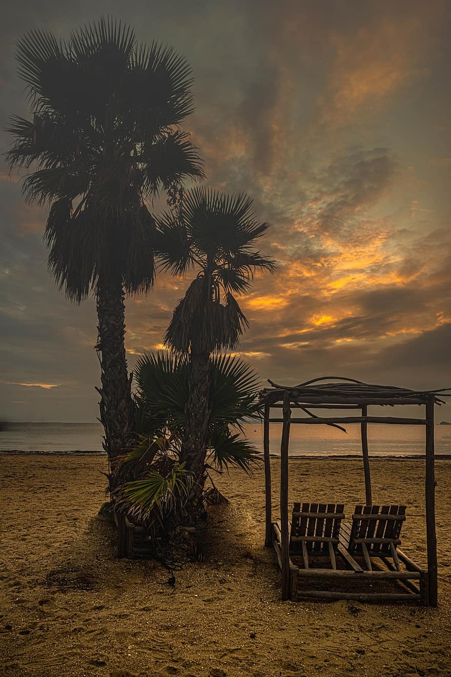 saulrieta, pludmale, krastā, saullēkts, krēsls, palmu koks, smiltis, jūra, okeāns, raksturs, rītausma