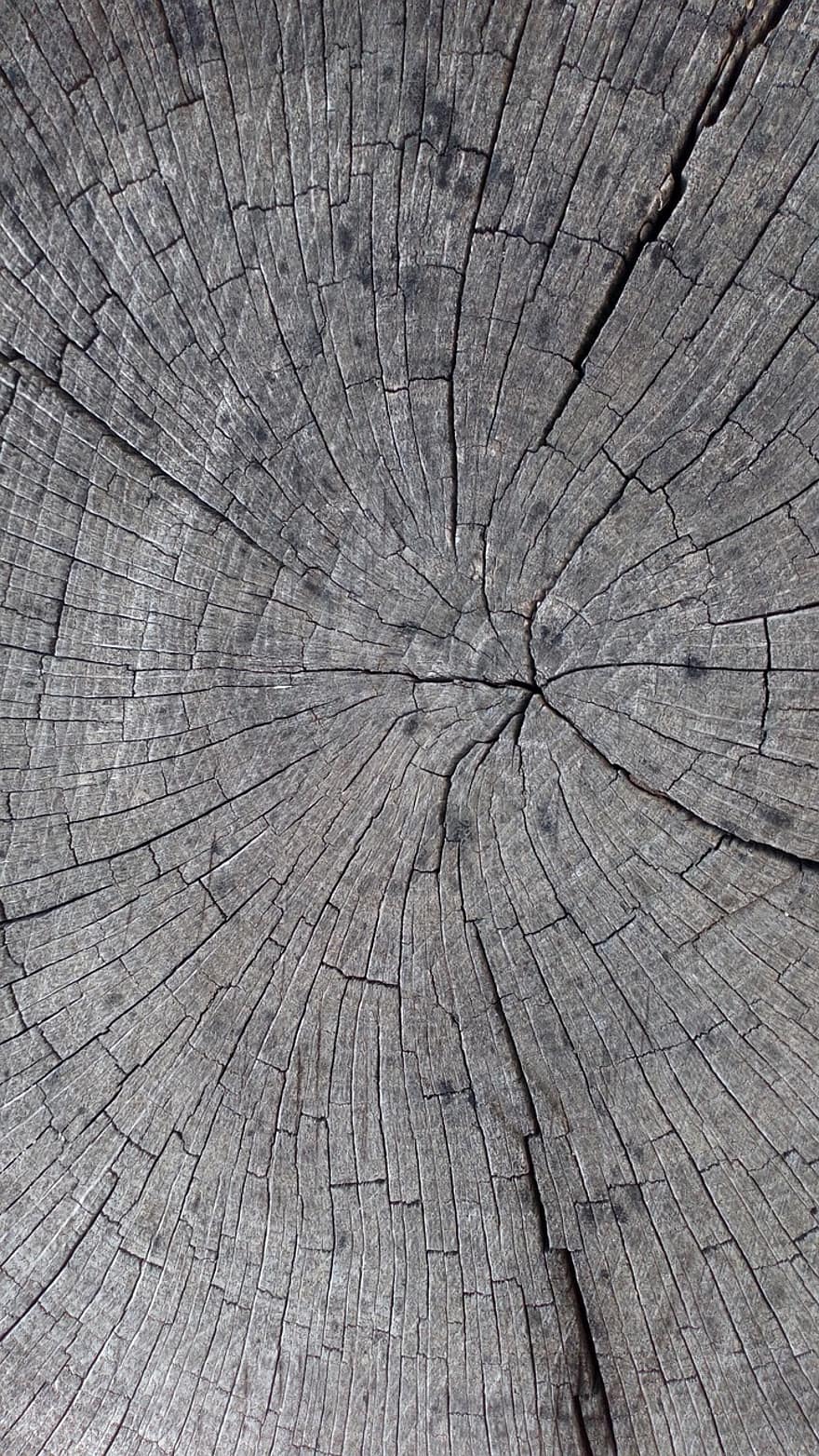 gỗ, Thân cây, vật chất, kết cấu, bề mặt
