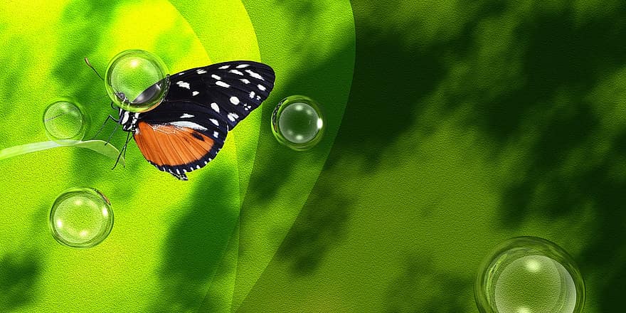 бабочка, весна, зеленый, воды, пузырьки