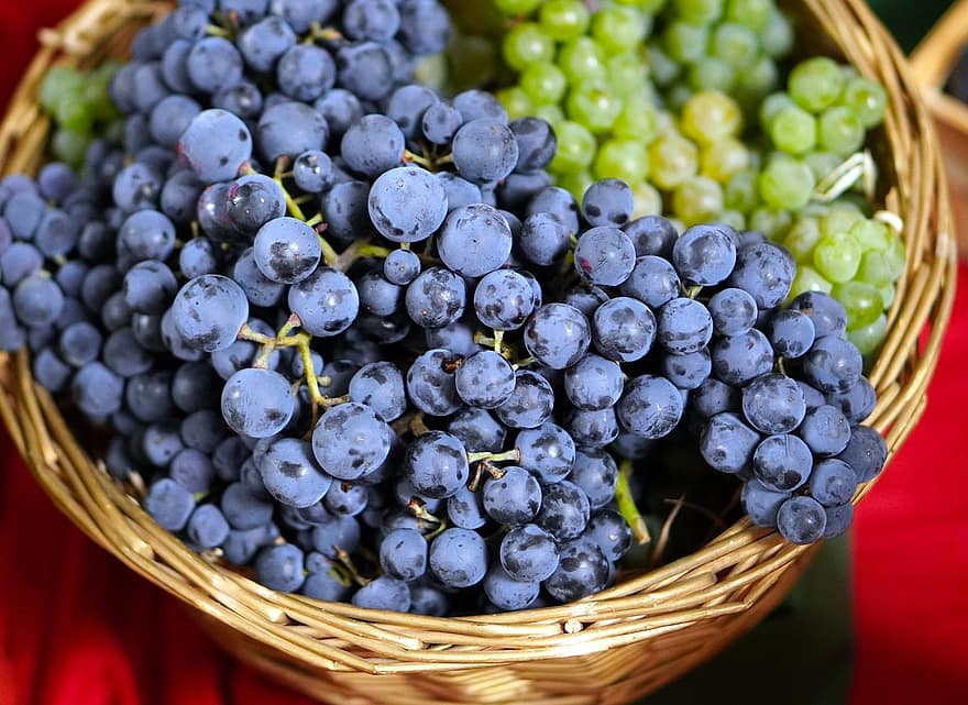 anggur, keranjang, panen, segar, buah-buahan, buah segar, anggur segar, Keranjang Anggur, menghasilkan, organik, makanan