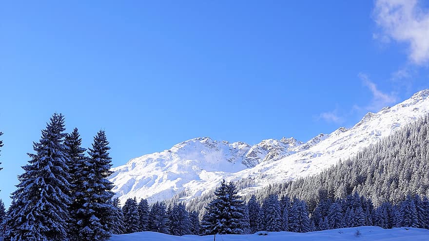 montagne, la neve, foresta, natura, paesaggio innevato, inverno, montagna, blu, paesaggio, albero, ghiaccio
