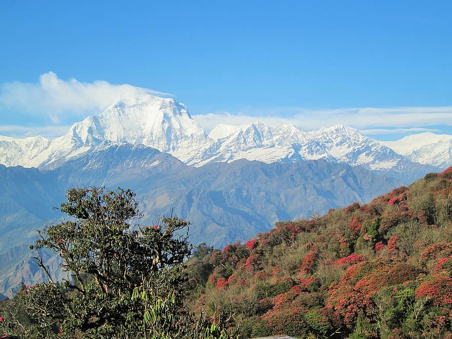 히말라야, 네팔, 히말라야 산맥, 나라 네팔, 자연