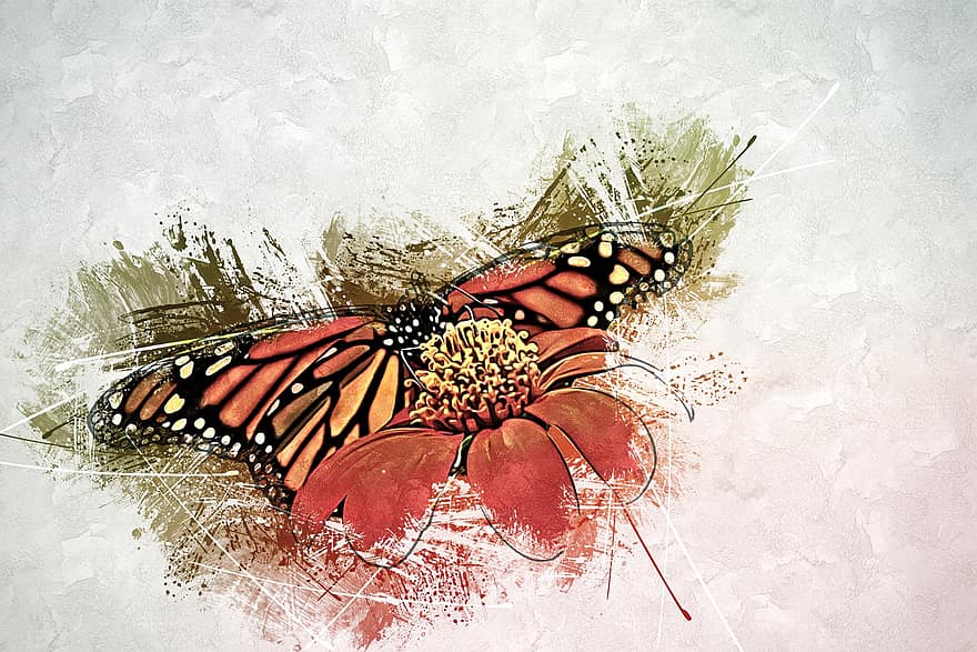 kupu-kupu, serangga, alam, bunga, perawatan, serbuk sari, menanam, kreativitas, ilustrasi, grunge, abstrak