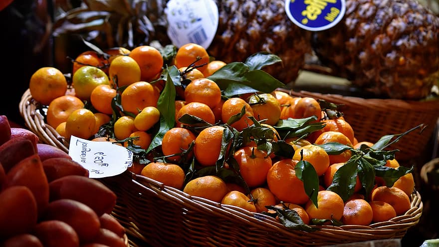 tangerinas, frutas, Comida, fresco, saudável, maduro, orgânico, doce, cesta, produzir, frescura