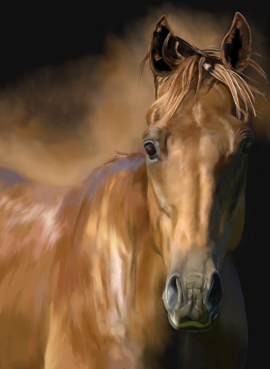 cavallo, cavalli, pony, capo, Ippocastano, pittura, reali, pascolo, animali, cavallo marrone, Pittura marrone