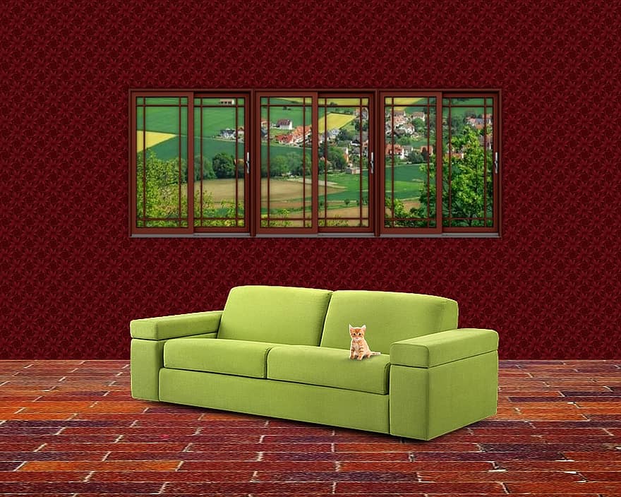 interjers, istaba, mājas, māja, dīvāns, kaķēns, logu, zaļa