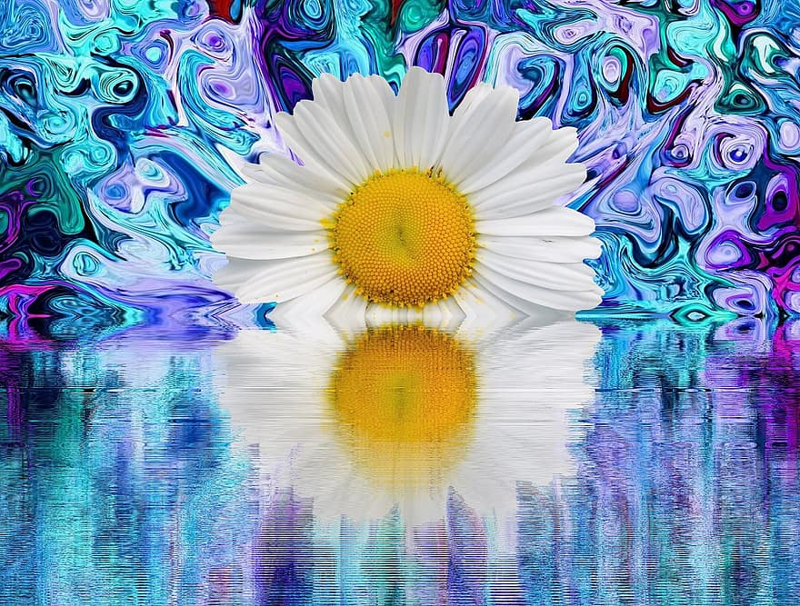 kwiat, kwitnąć, graficzny, Natura, biały kwiat