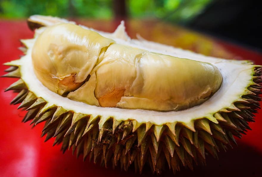 durian, frugt, mad, frisk, sund og rask, moden, organisk, sød, fremstille, høst, landbrug