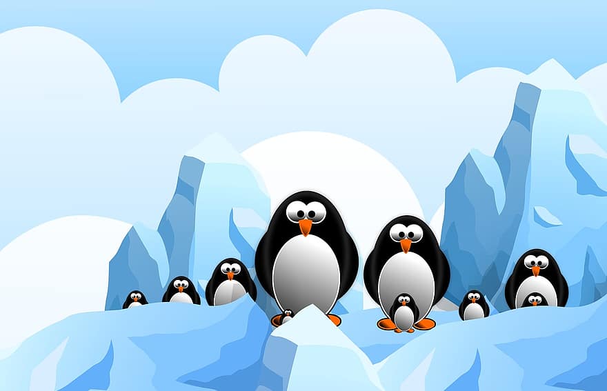 pinguim, Antártica, gelo, animal, desenho animado, azul, animais selvagens, mamífero, vida, natureza, frio