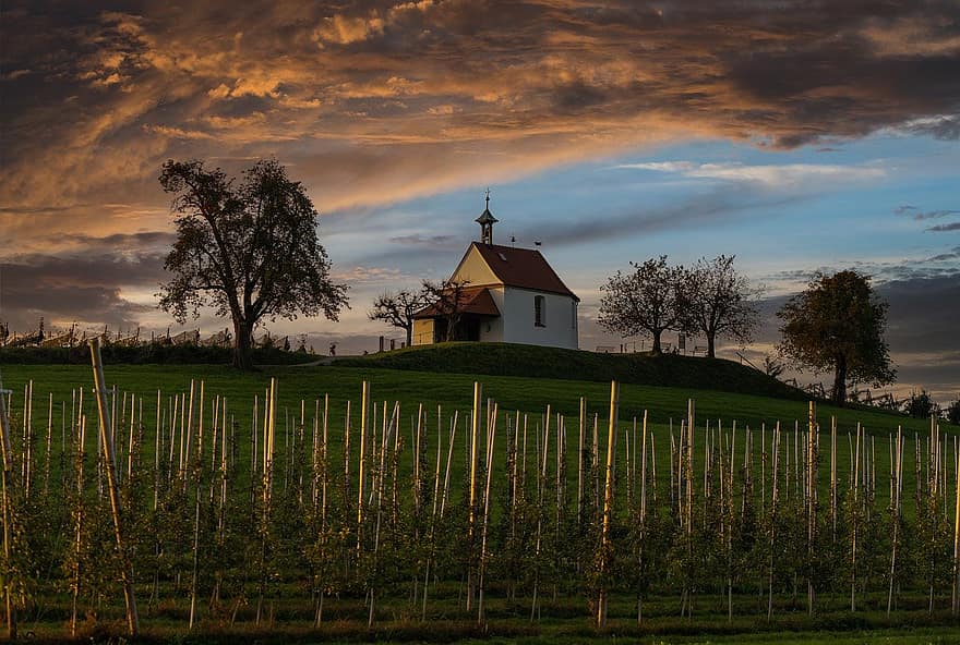 chapel, vineyard, countryside