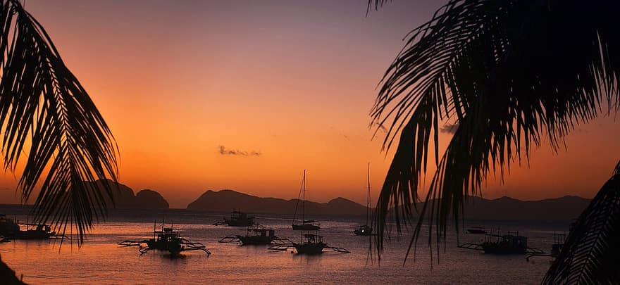 solnedgang, båter, palmer, silhuetter, skumring, etterglød, hav, Ocea, Seascape, fjellene, rolig vann