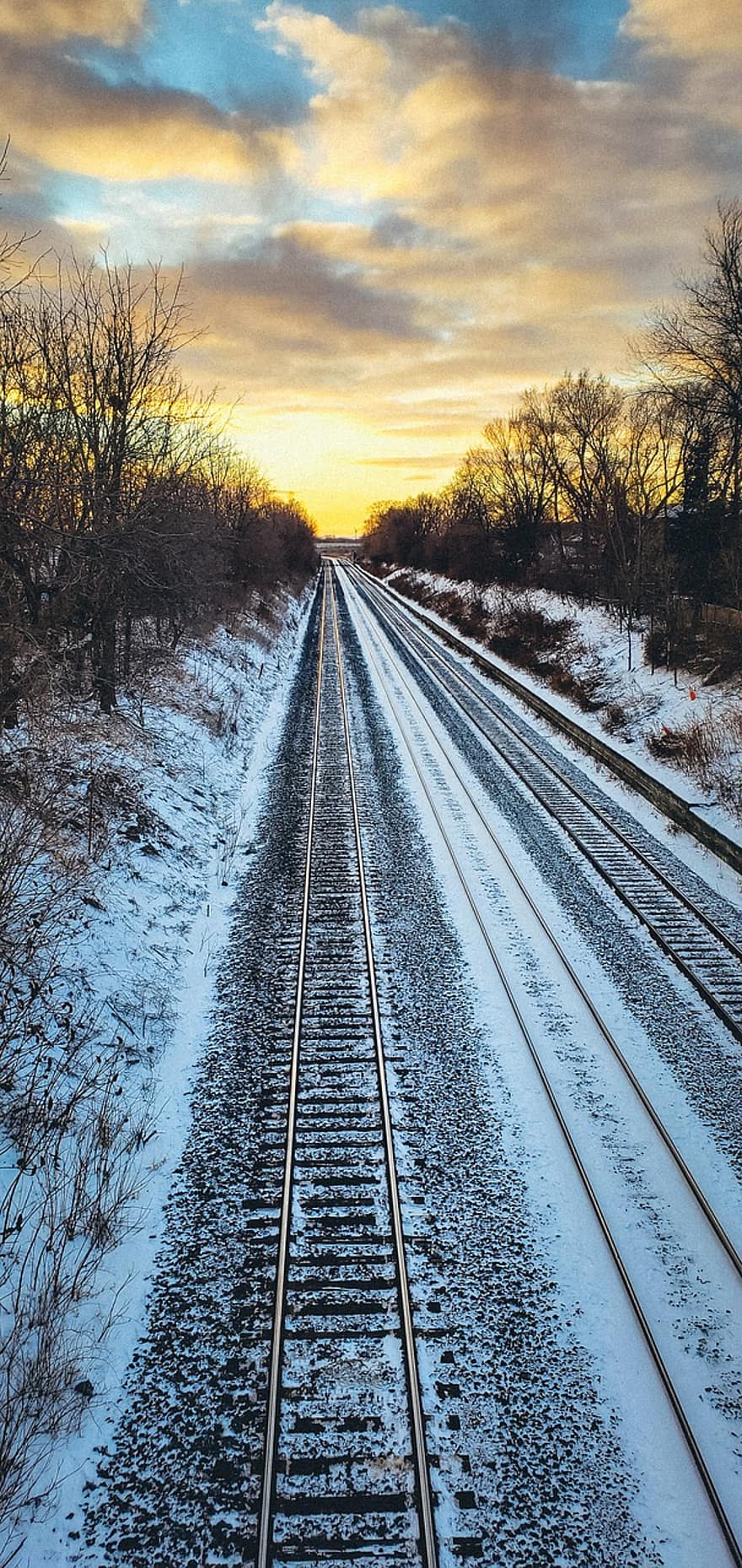 Train, Tracks, Winter, Snow, Trees, Nature, Outdoors