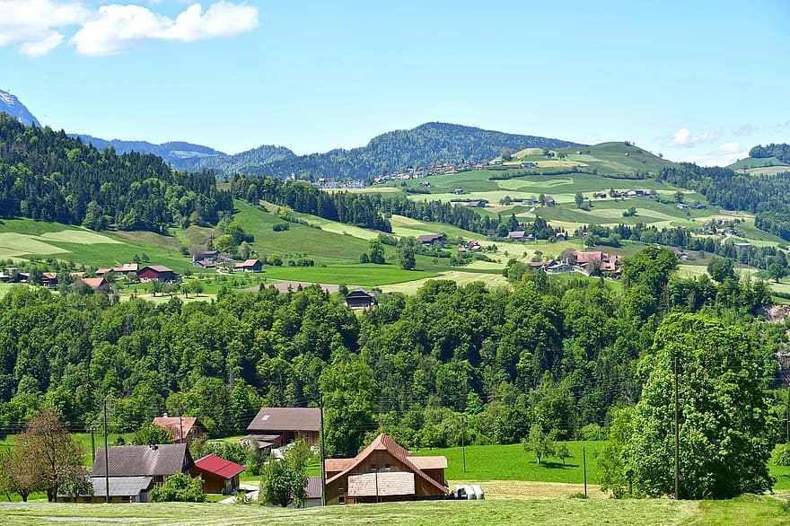 kabina, Chata, wioska, drzewa, las, wzgórza, Szwajcaria