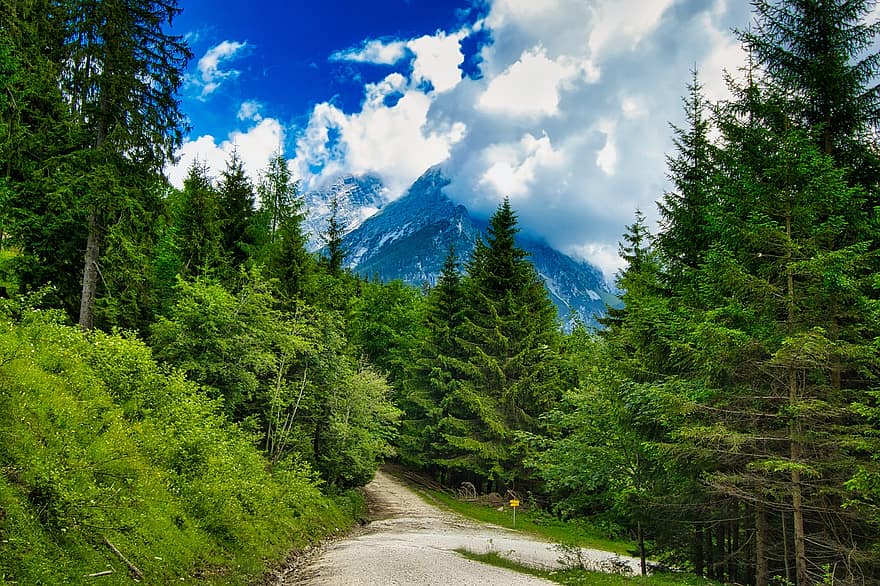 yol, ağaçlar, doğa, orman, yeşillik, dağ, peyzaj, manzara, kırsal bölge, berchtesgaden, Bavyera