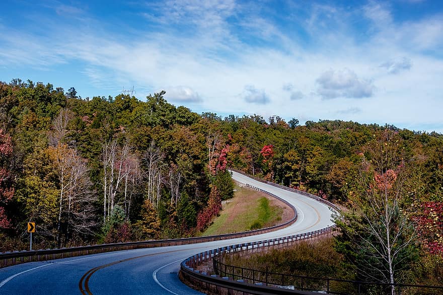 Road, Highway, Winding Road, Forest, Countryside, Trees, Nature, Autumn, Fall, tree, landscape