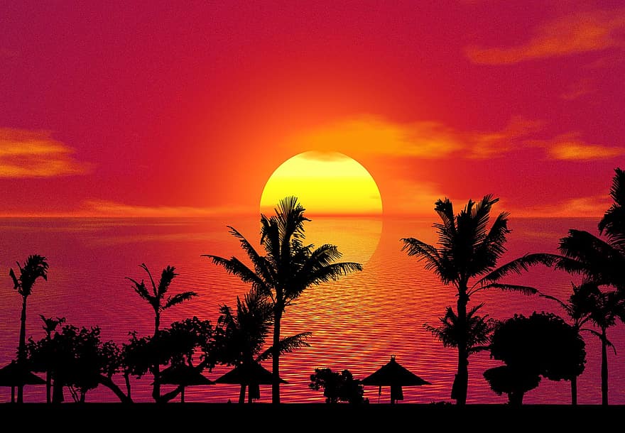 Bali, Indonezja, krajobraz, tropikalny, palmy, Natura, sylwetka, zachód słońca, morze, horyzont, słońce
