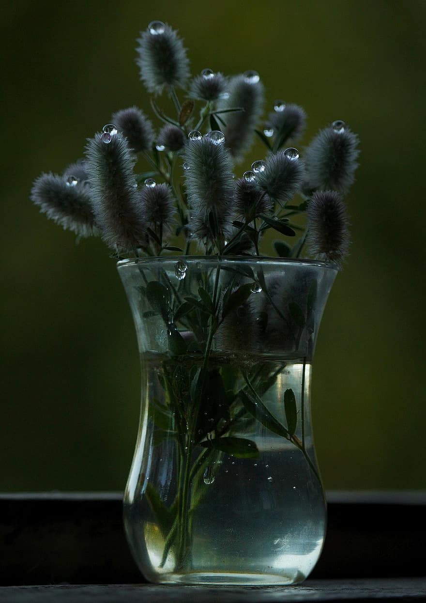 vidro, flor, plantar, frescura, grama, ainda vida, gotas, retrô, molhado