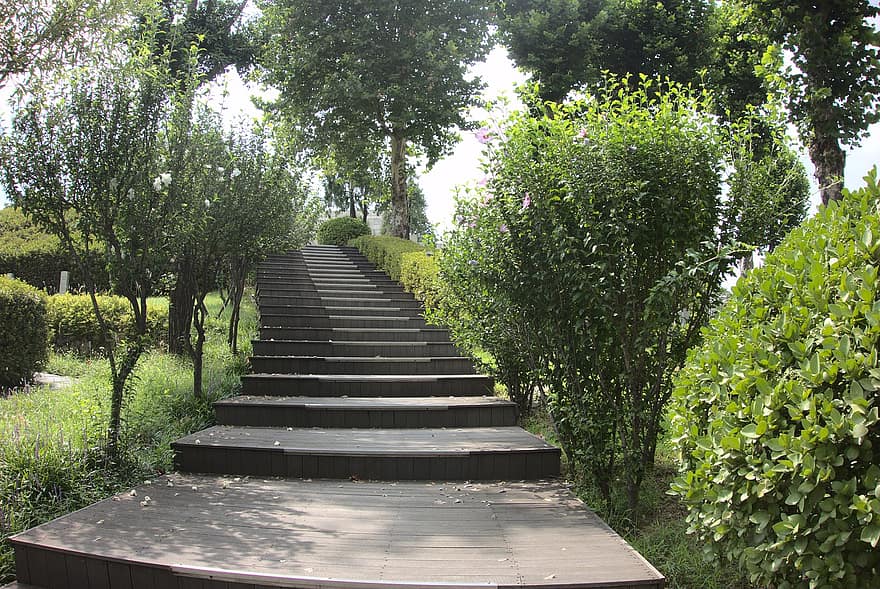 laiptai, pobūdį, parkas, žingsnius, lauke, medžiai, takas, kelias