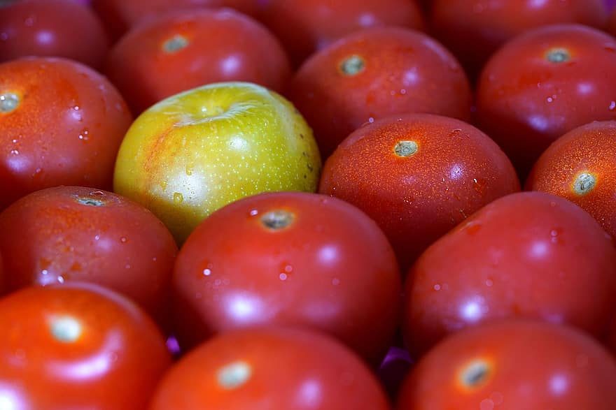 tomater, moden, umodne