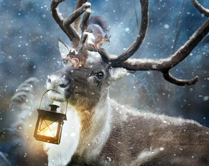 Hirsch, Eichhörnchen, Winter, Geweih, Lampe, Schnee, Weihnachten, magischer Wald, Fantasie, digitale Kunst