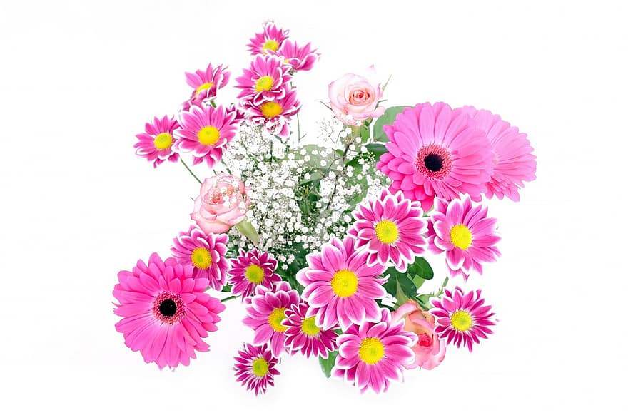 flores, flor, plantas, natureza, macro, fundo, temporada, presente, amor, namorados, dia