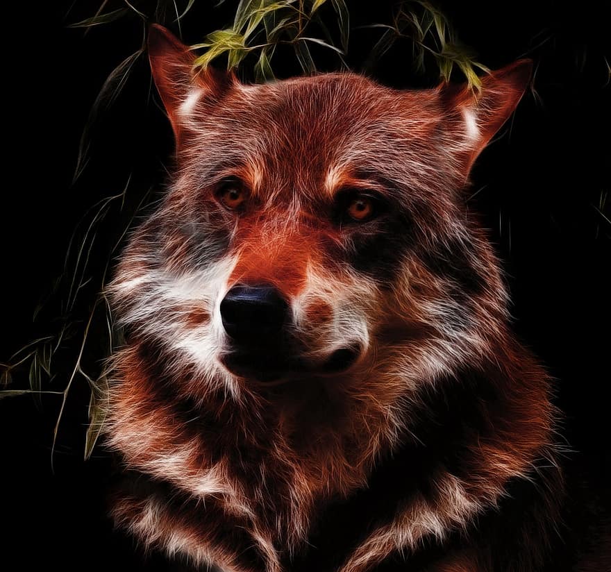 Wolf, Fractalius, Photo Art, Close Up, Predator, Carnivores, Fur, Animal