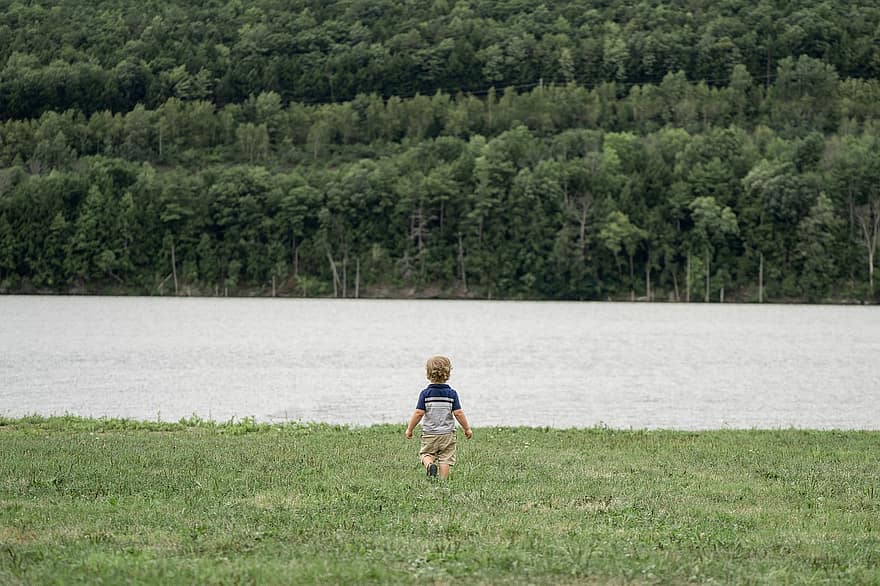 хлопчик, дитина, озеро, банку, поле, річка, води, молодий, дитинство, літо, на відкритому повітрі
