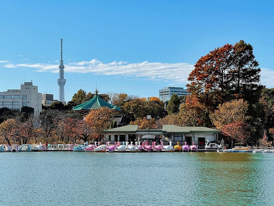 Shinobazu-tó, ueno park, taito város, tokyo, Japán, város, tokyo skytree, torony, bérleti hajók, park, városi