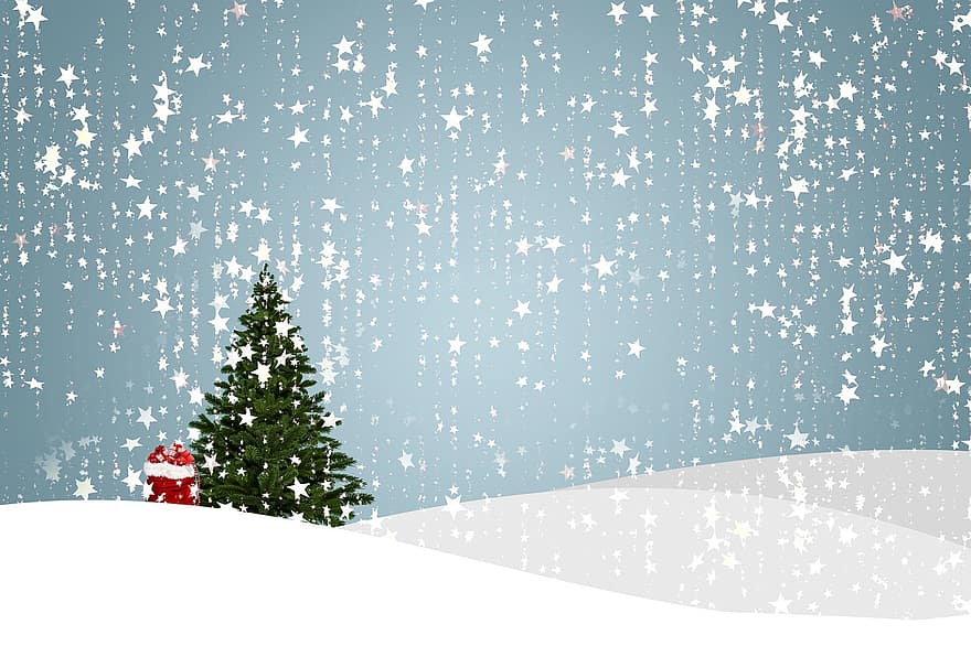 hari Natal, pohon cemara, musim dingin, bintang, kepingan salju, salju, pohon Natal, dingin, pemandangan, kedatangan
