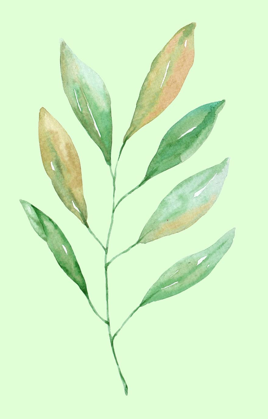 Leaves, Watercolor Painting, Boho Style, Bohemian Style, Background, leaf, backgrounds, green color, plant, illustration, pattern