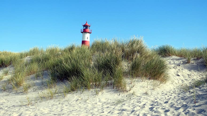 Lighthouse, Dunes, Sand, Beach, Grass, Plants