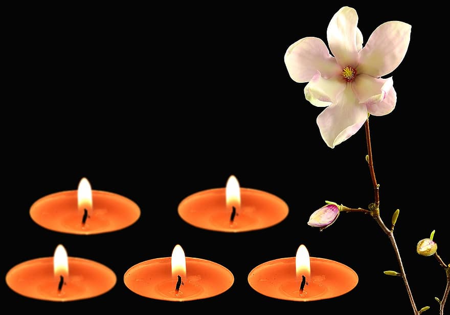 velas, flor, luz de una vela, decoración
