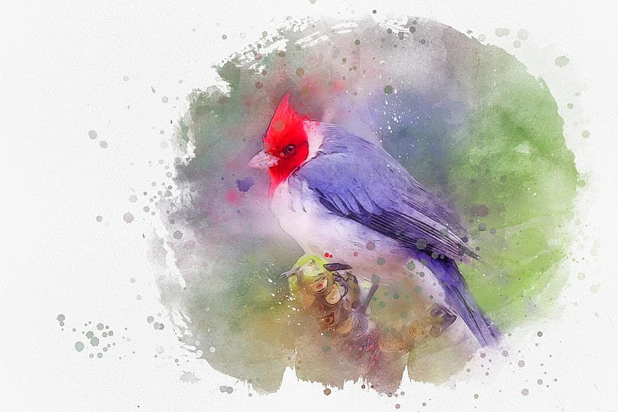 pájaro, fauna silvestre, naturaleza, animal, retrato, pintura, arte Fotografico