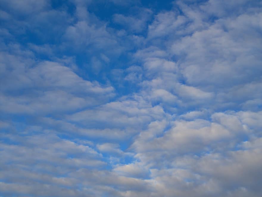 ciel, des nuages, la nature, climat, Météo, ensoleillé, bleu, calme, ensoleillement, doux, blanc