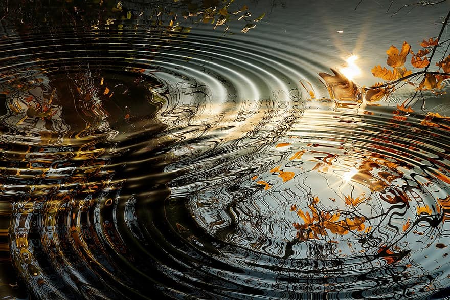 agua, ondulações, reflexão, outono, sai, árvore, espelhamento, humor de outono, natureza, papel de parede