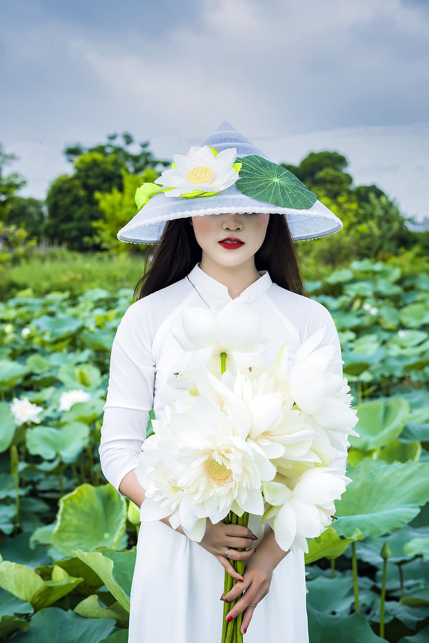fille, Lotus blanc, viet nam, asiatique, blanc, lotus, fleur, été, la nature, ciel, paysage