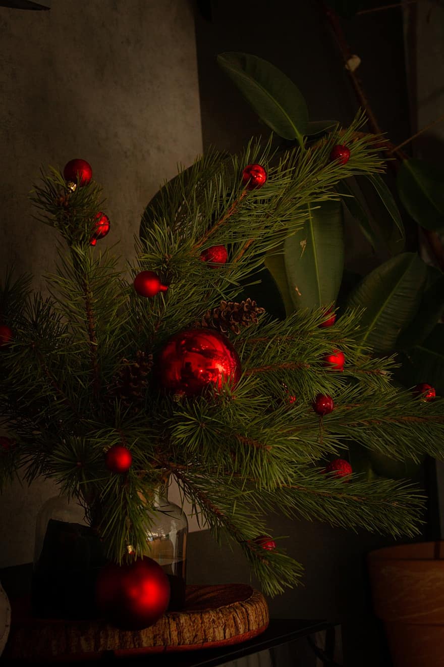 нова година, Коледа, Коледна атмосфера, коледна елха, червена топка, играчки за коледна елха, коледна украса, дърво, украса, празненство, сезон