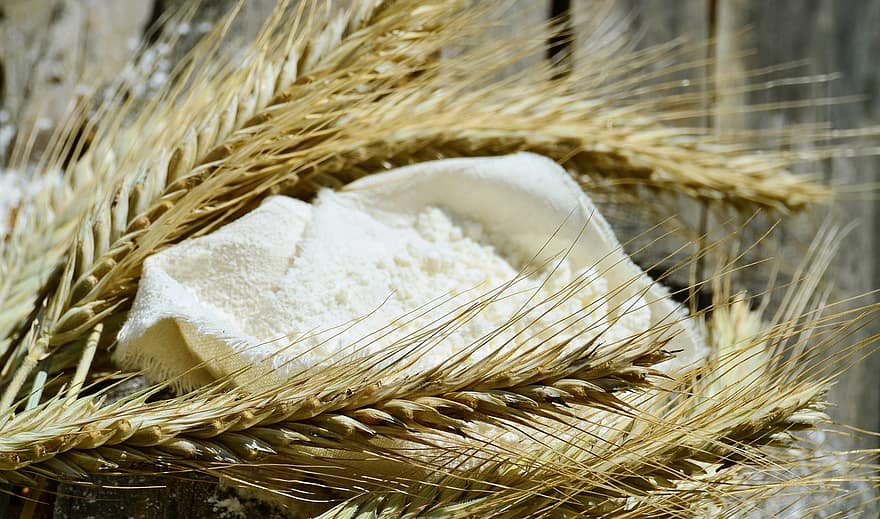 bột mì, ngũ cốc, món ăn, nông nghiệp, lúa mì, cận cảnh, cây ngũ cốc, nông trại, tầng lớp, hạt giống, màu vàng