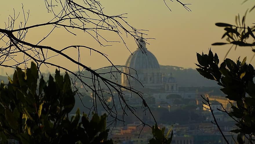 Dome, Cathedral, Tree, Travel, famous place, architecture, cityscape, dusk, building exterior, sunset, religion