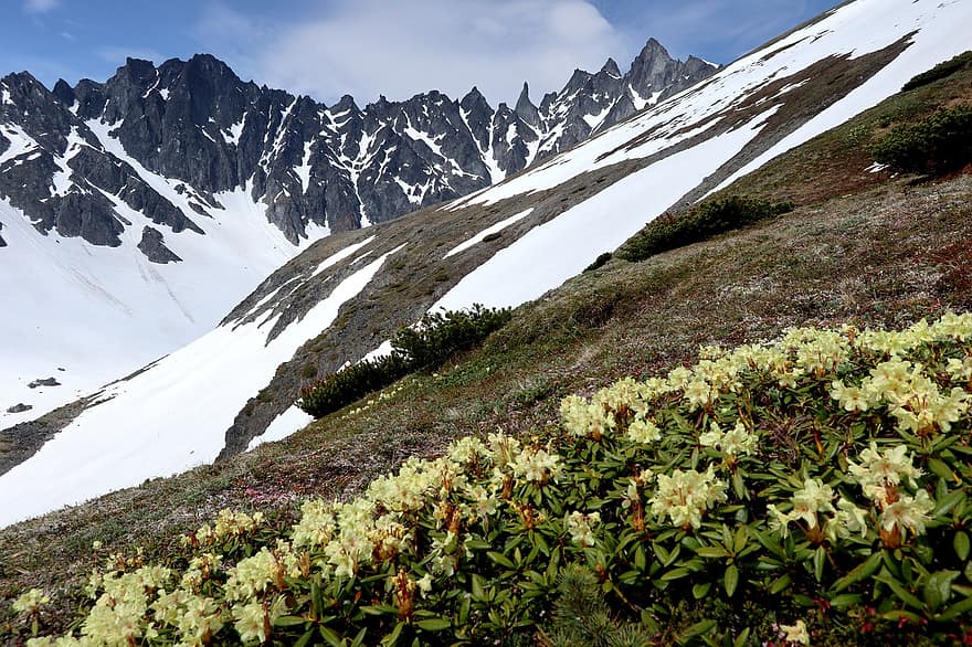 kalnai, debesys, pavasaris, žiemą, viršūnių, sniegas, pobūdį, šviečia, kamchatka, Range Vostracky, gėlės