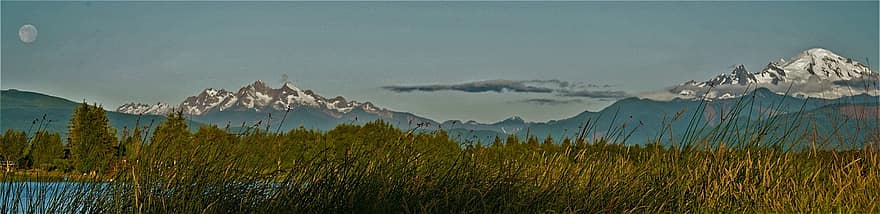 montanha, montar padeiro, Prado, pradaria, nascer da lua, panorama, natureza, Estado de Washington, cadeia de montanhas, Pico da montanha, grama