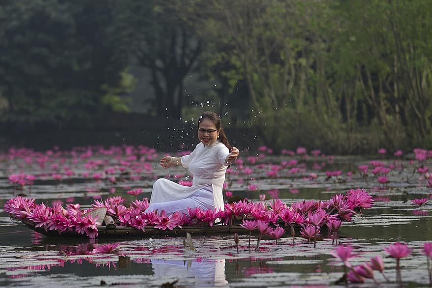 lotus, flors, dona, vestit blanc, flors de color rosa, flors de lotus, llistons, florir, flor, pètals, pètals de color rosa
