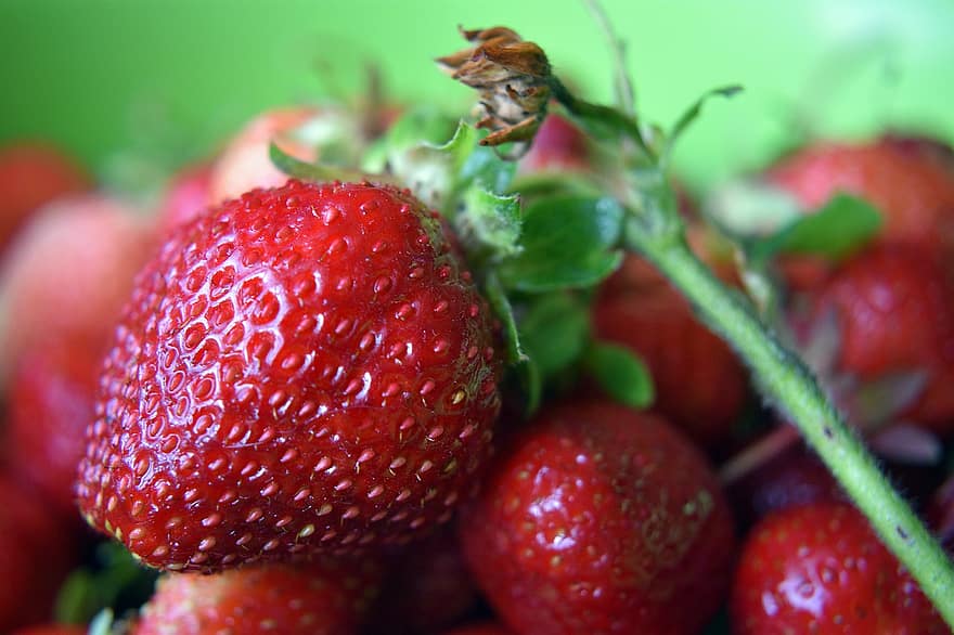 des fraises, fraise, fruit, rouge, délicieux, manger, aliments, sucré, en mangeant, mature