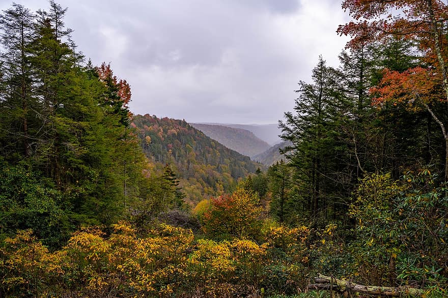 природа, есен, на открито, сезон, дървета, падане, планини, гора