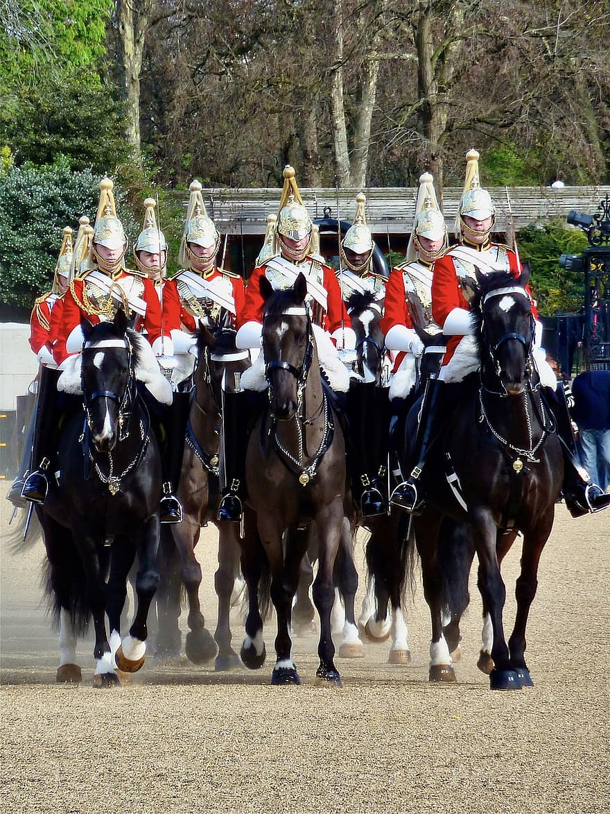 dronninger vagt, heste, fest, pomp, ceremoni, regalier, hest, kulturer, sportsrace, ridning, konkurrence